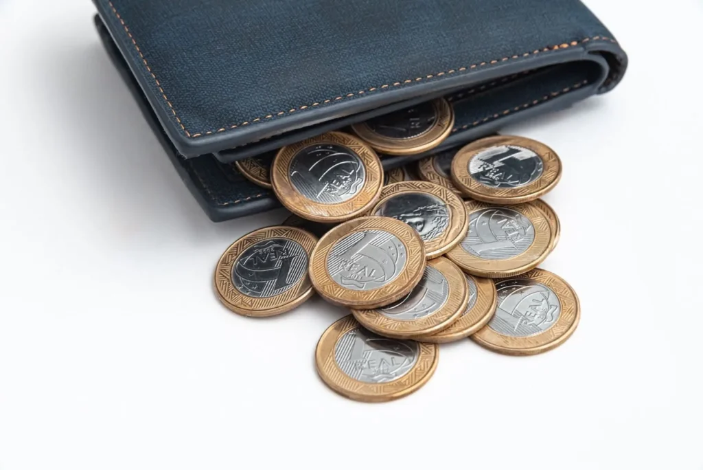 Online Dutch lessons are cost-effective.